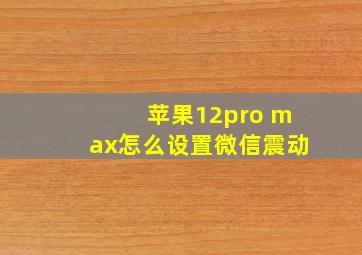 苹果12pro max怎么设置微信震动